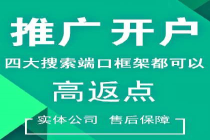 SEM服务公司助力企业流量增长案例